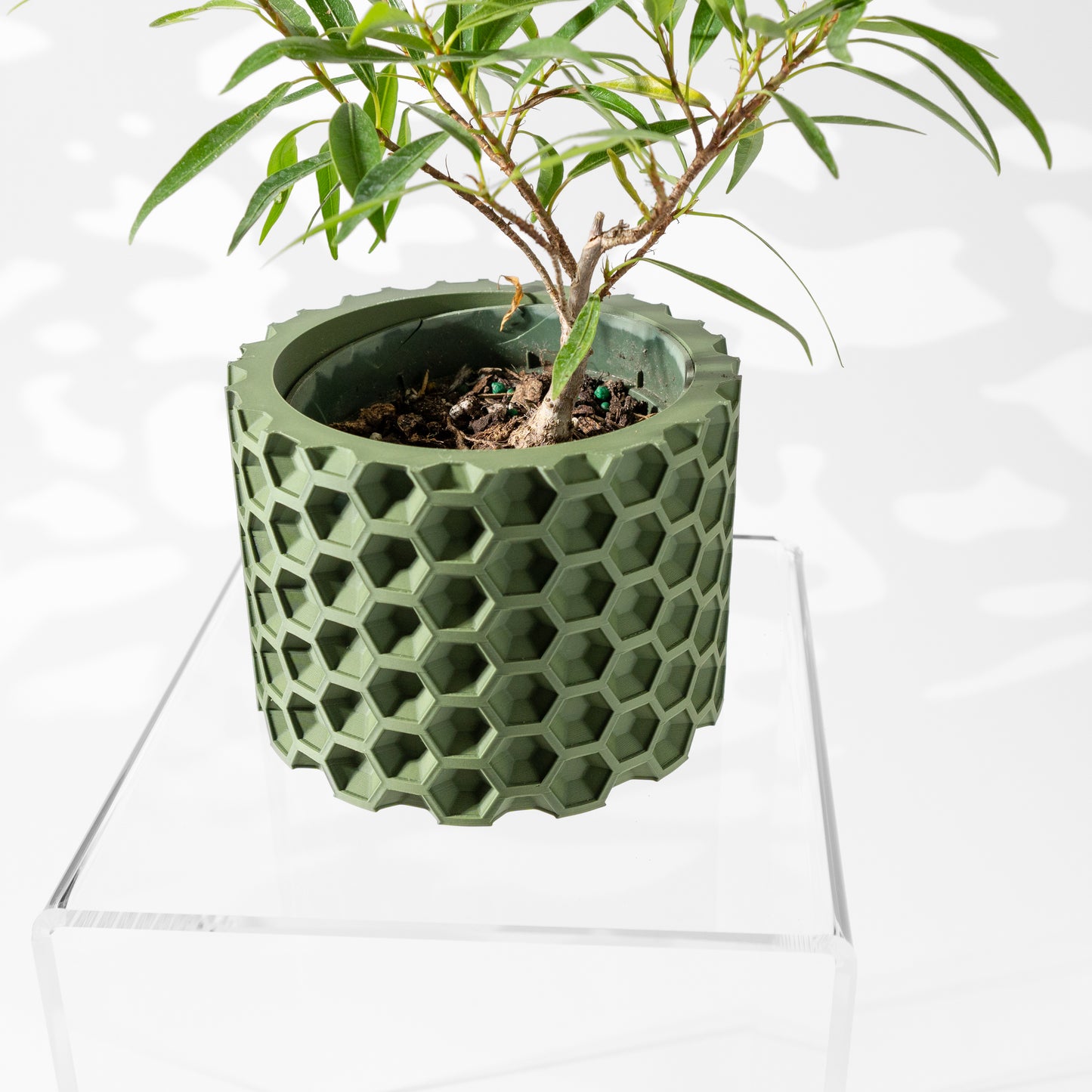 Armos Planter Pot with Drainage Tray