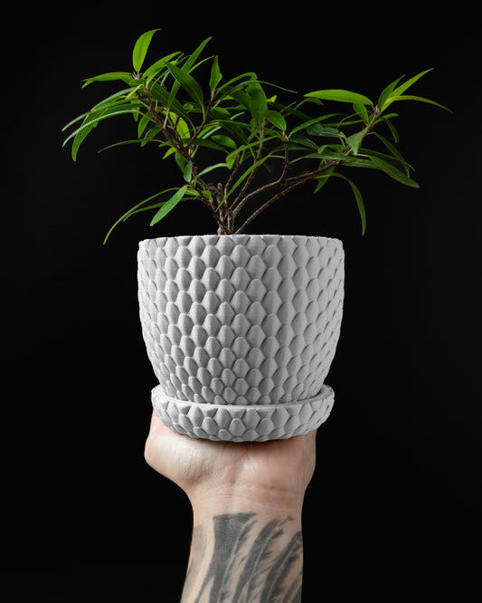 Dragonscale Planter Pot