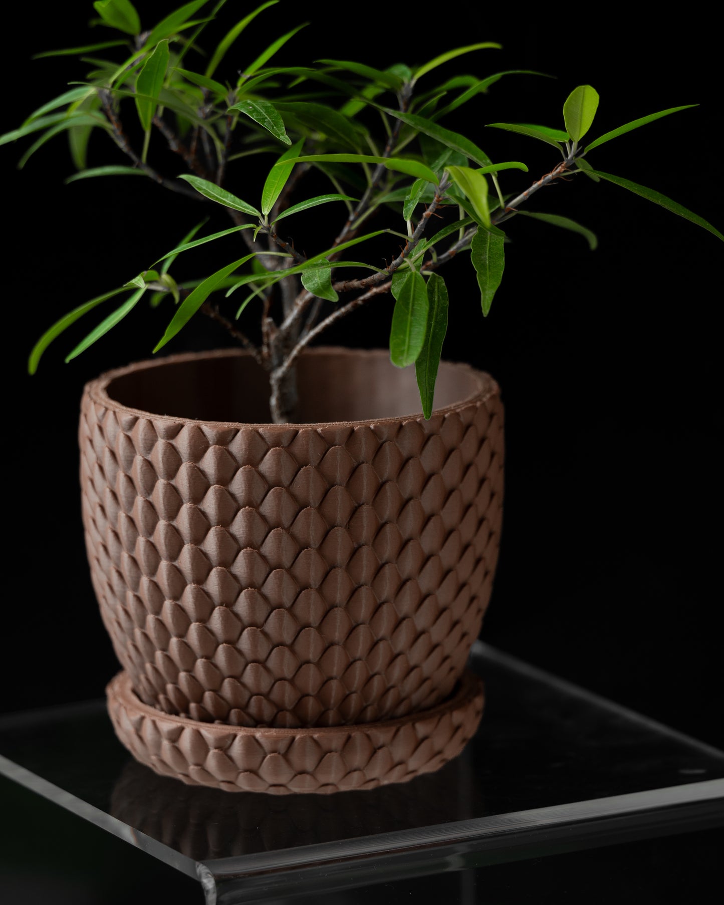 Dragonscale Planter Pot