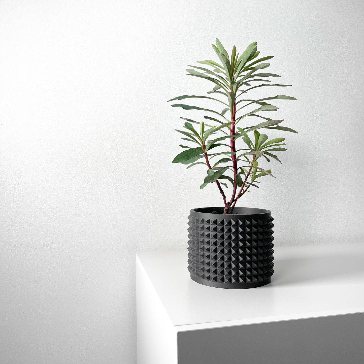 Anver 3D Printed Planter Pot