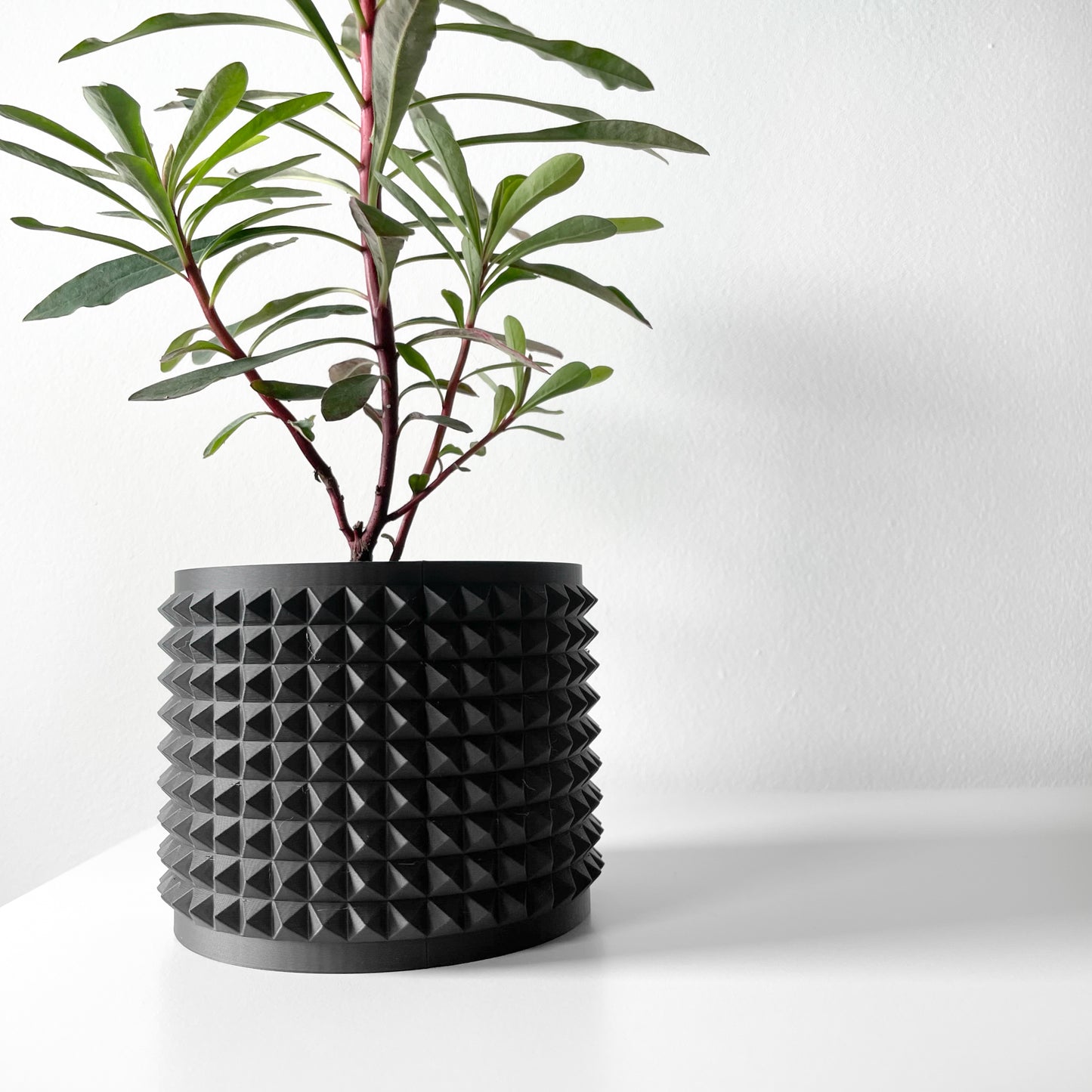 Anver 3D Printed Planter Pot