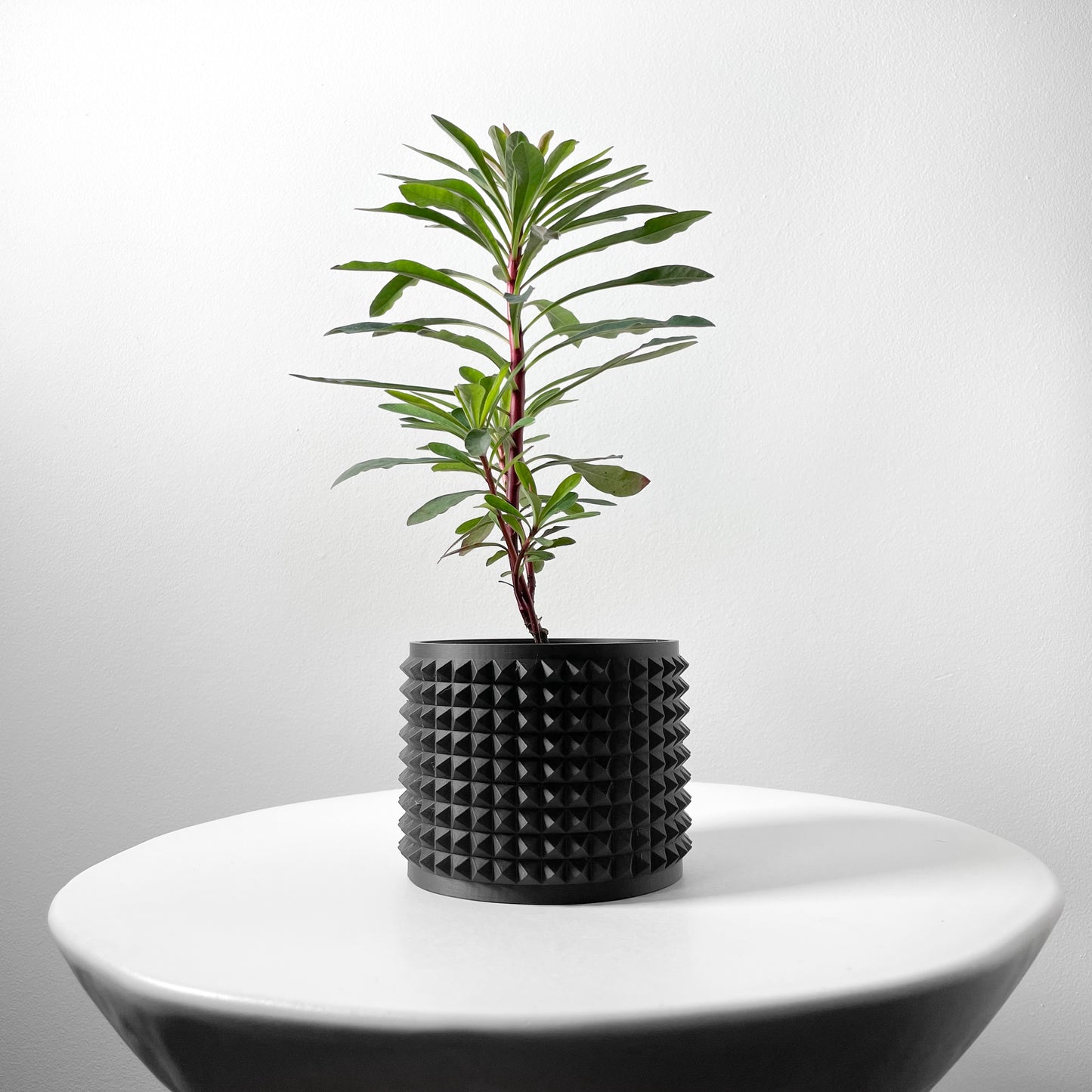 Anver 3D Printed Planter Pot