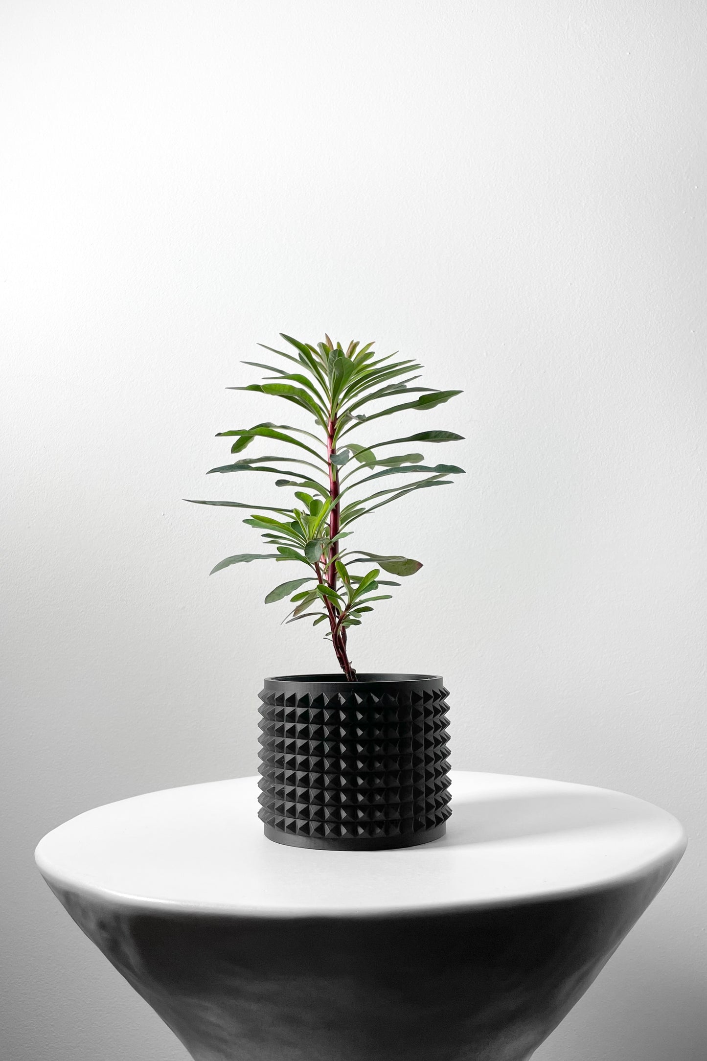 Anver 3D Printed Planter Pot