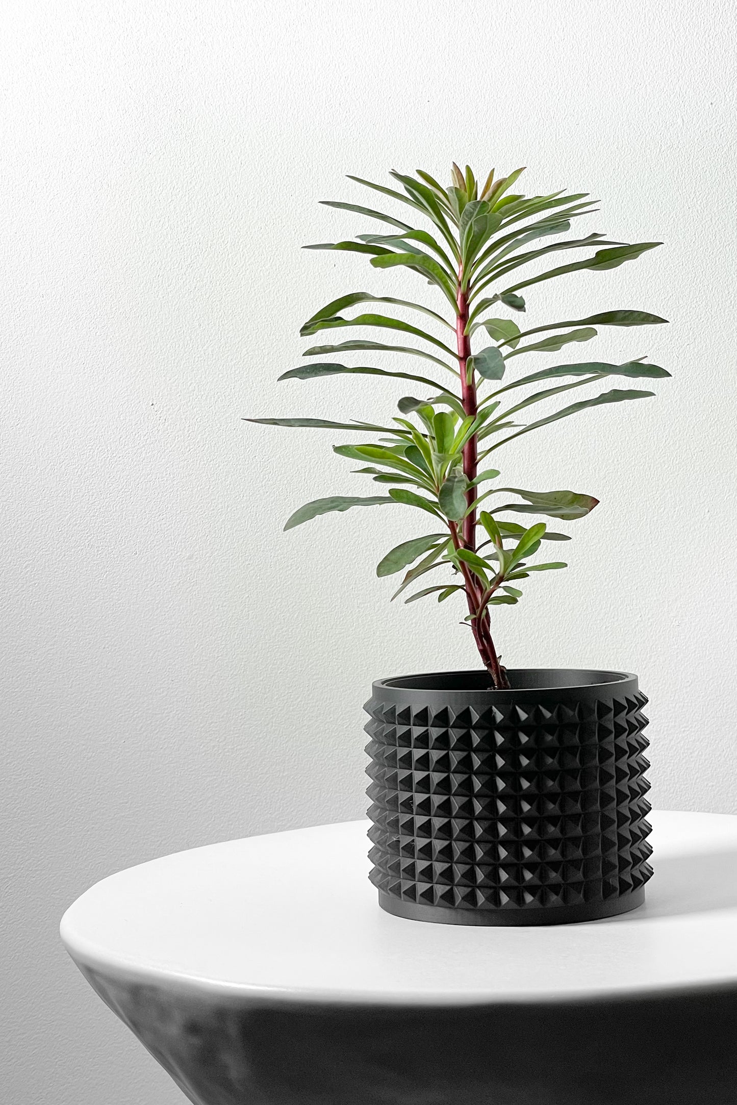 Anver 3D Printed Planter Pot