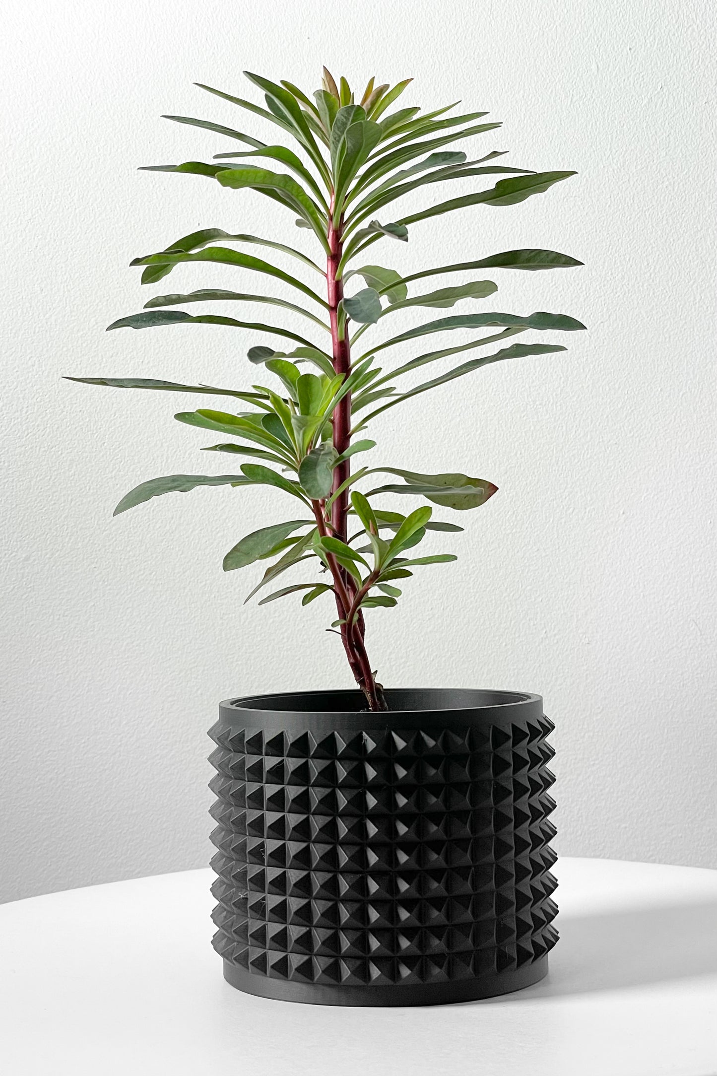 Anver 3D Printed Planter Pot