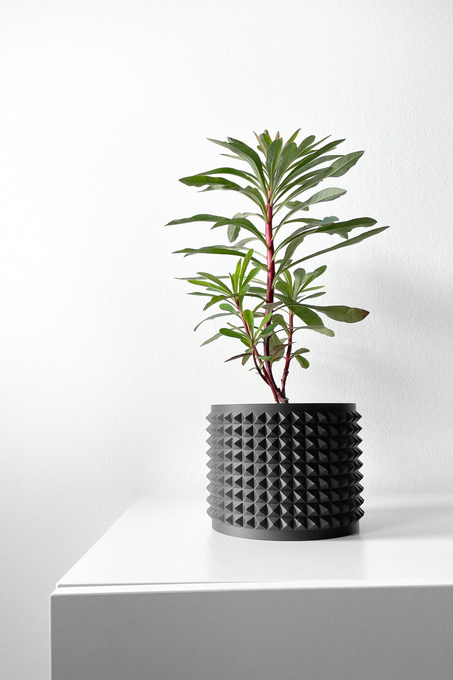 Anver 3D Printed Planter Pot