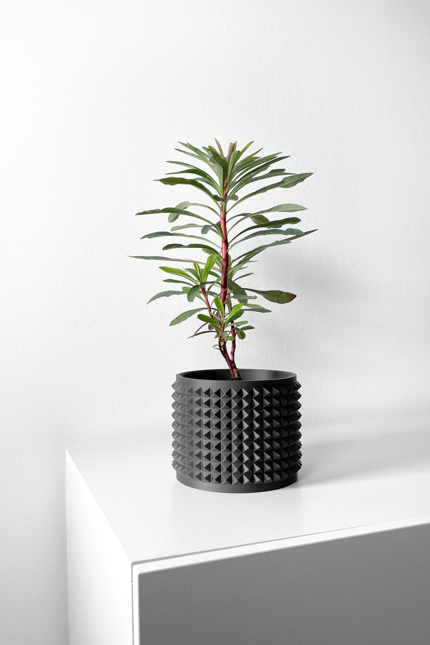 Anver 3D Printed Planter Pot