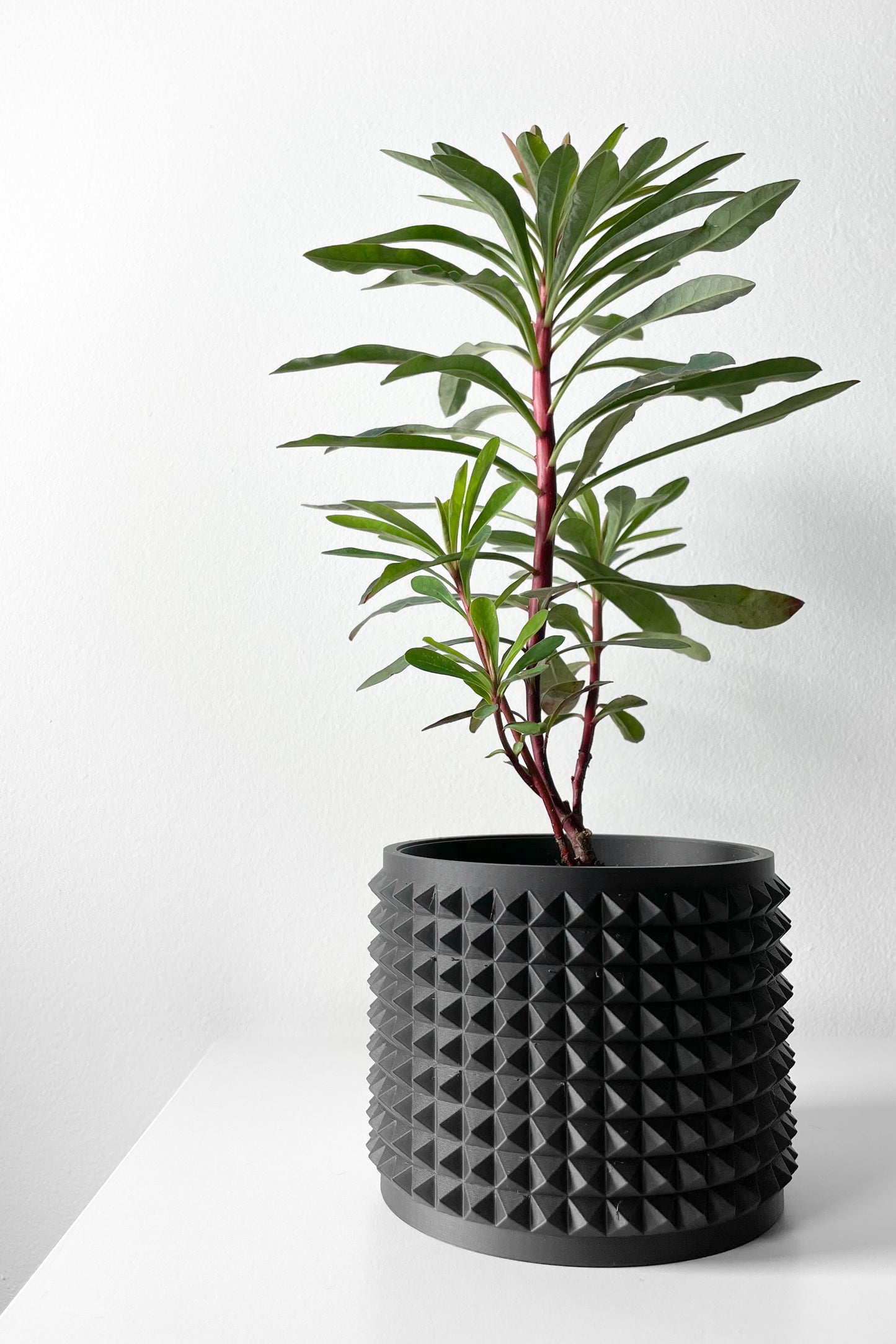 Anver 3D Printed Planter Pot