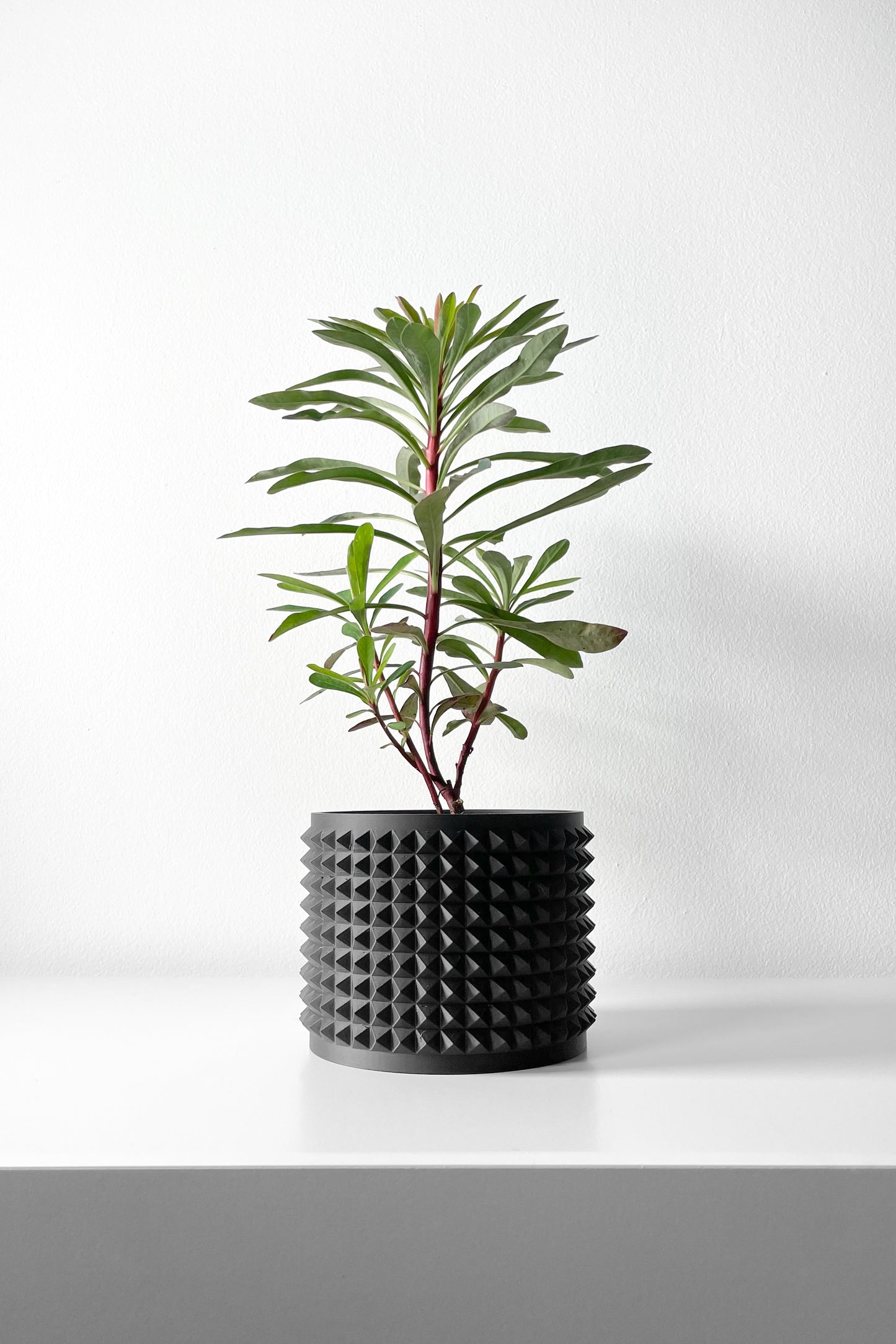 Anver 3D Printed Planter Pot